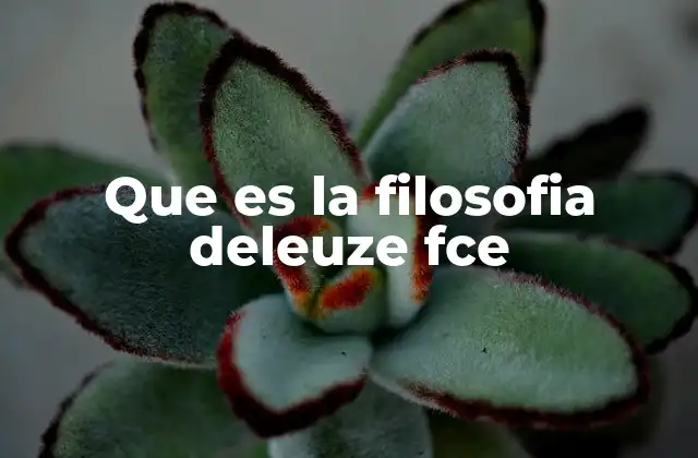 Que es la Filosofia Deleuze Fce