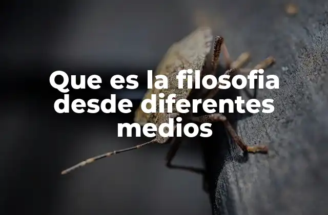 Que es la Filosofia desde Diferentes Medios