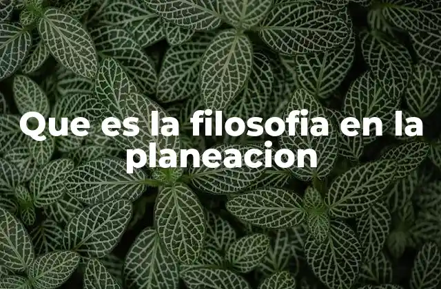 Que es la Filosofia en la Planeacion