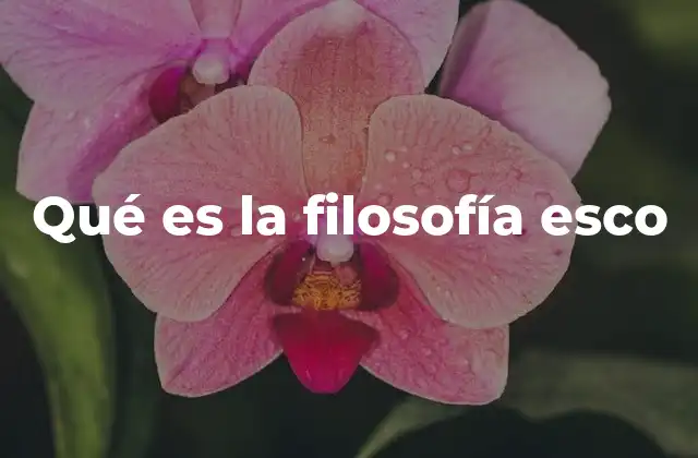 Qué es la Filosofía Esco