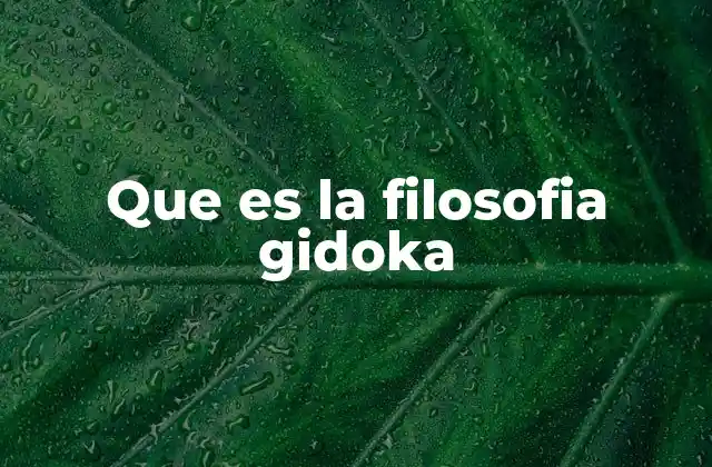 Que es la Filosofia Gidoka