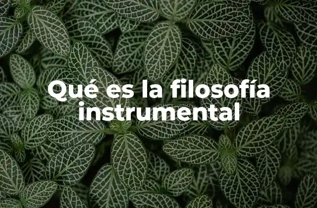 Qué es la Filosofía Instrumental