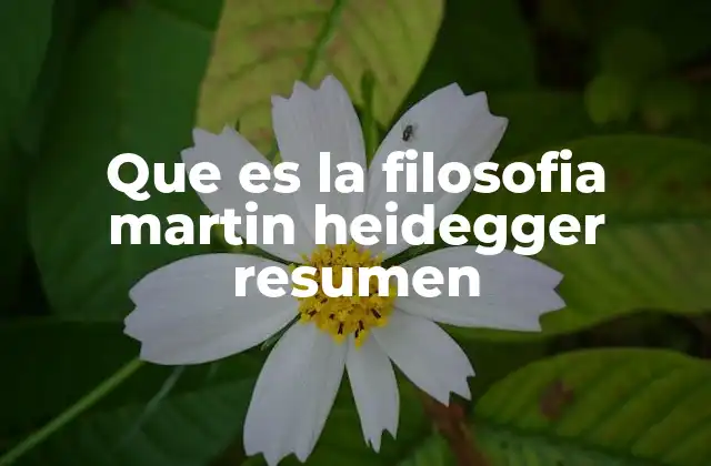 Que es la Filosofia Martin Heidegger Resumen