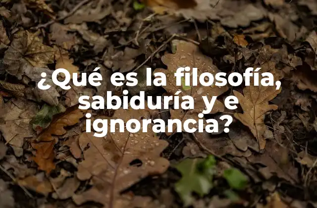 ¿qué es la Filosofía, Sabiduría y e Ignorancia? 2 El vínculo entre filosofía y la búsqueda del conocimiento
