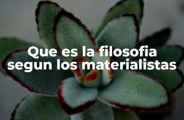 Que es la Filosofia Segun los Materialistas