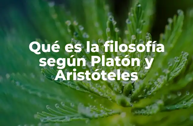 Qué es la Filosofía según Platón y Aristóteles