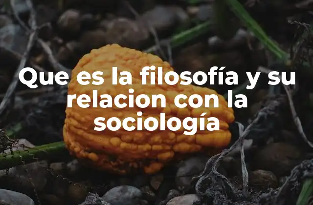 Que es la Filosofía y Su Relacion con la Sociología