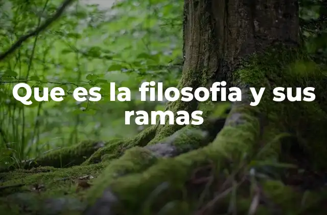 Que es la Filosofia y Sus Ramas