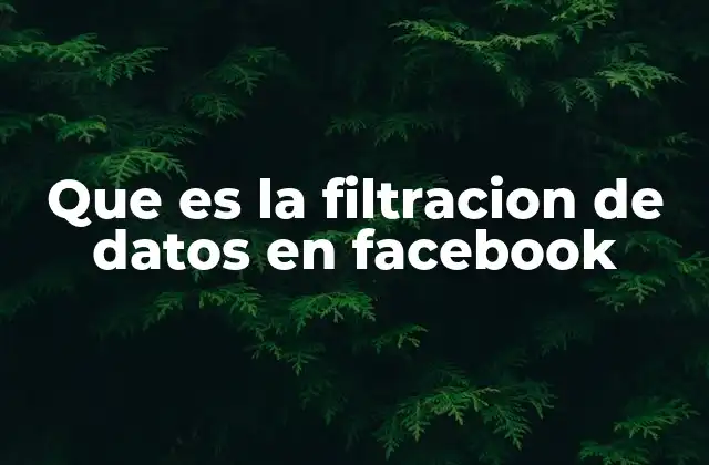 Que es la Filtracion de Datos en Facebook 2 Cómo se produce una filtración de datos en Facebook