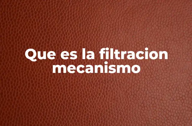Que es la Filtracion Mecanismo