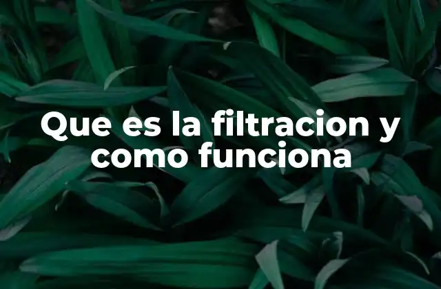 Que es la Filtracion y como Funciona