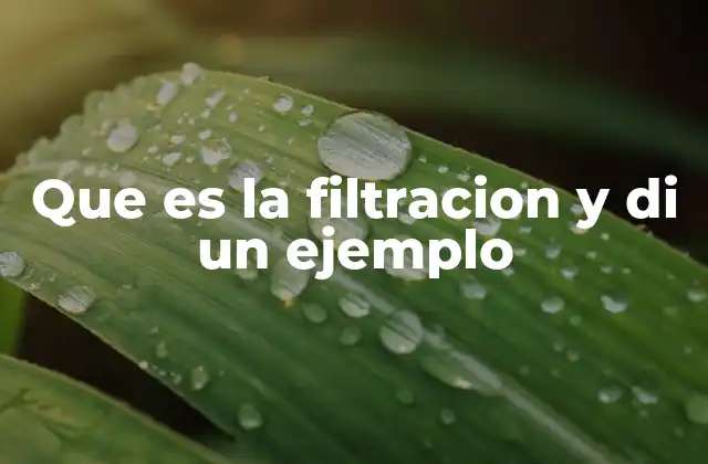 Que es la Filtracion y Di un Ejemplo