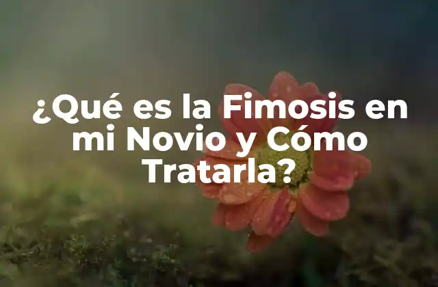 ¿qué es la Fimosis en Mi Novio y Cómo Tratarla?