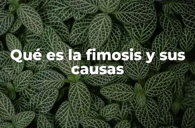 Qué es la Fimosis y Sus Causas