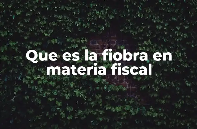 Que es la Fiobra en Materia Fiscal