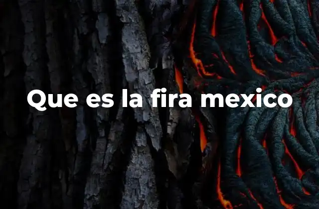 Que es la Fira Mexico