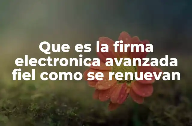 Que es la Firma Electronica Avanzada Fiel como Se Renuevan