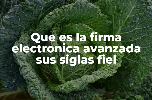 Que es la Firma Electronica Avanzada Sus Siglas Fiel