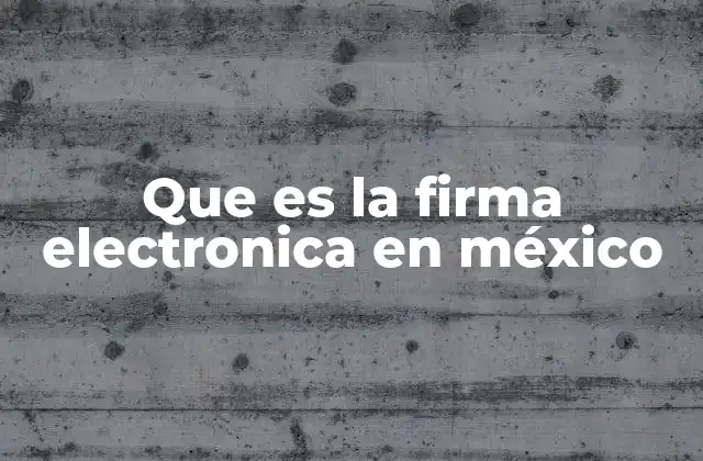 Que es la Firma Electronica en México