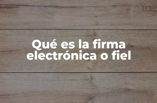 Qué es la Firma Electrónica o Fiel