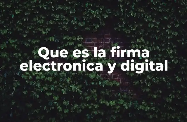 Que es la Firma Electronica y Digital