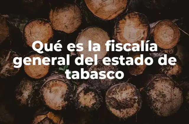 Qué es la Fiscalía General Del Estado de Tabasco