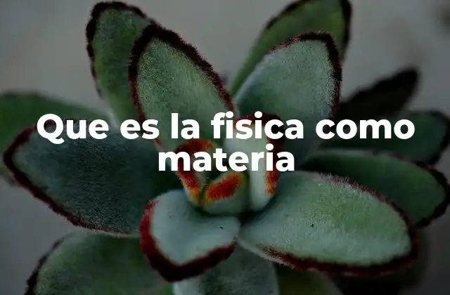 Que es la Fisica como Materia