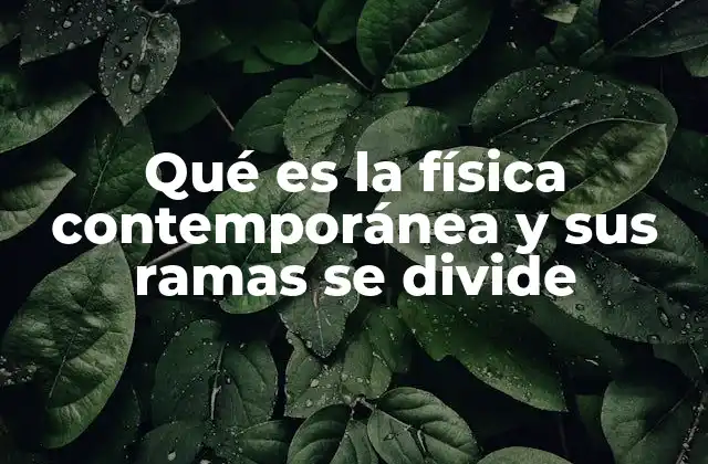 Qué es la Física Contemporánea y Sus Ramas Se Divide