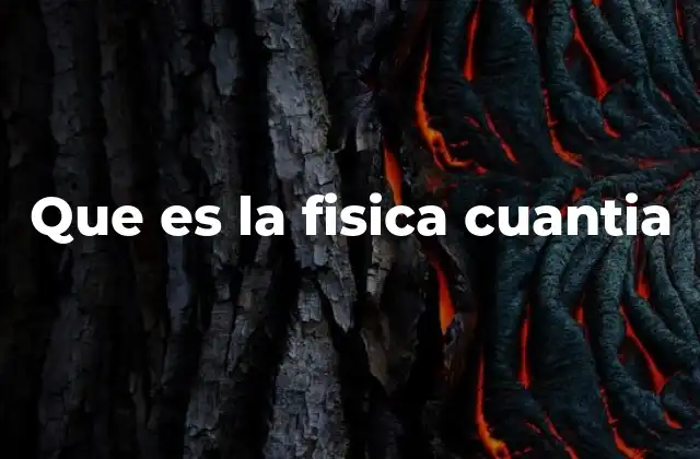 Que es la Fisica Cuantia