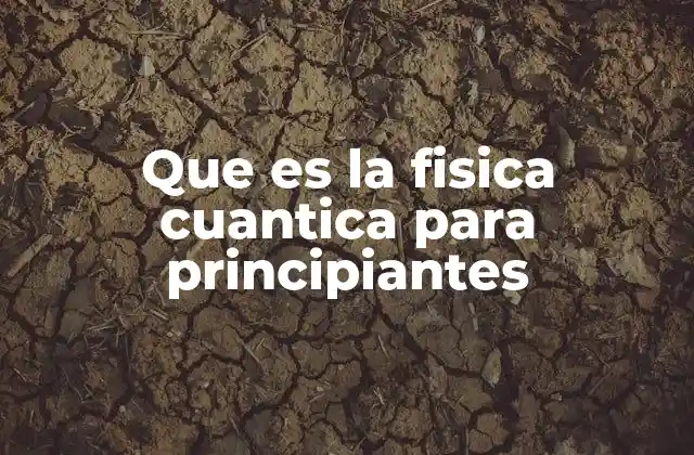 Que es la Fisica Cuantica para Principiantes