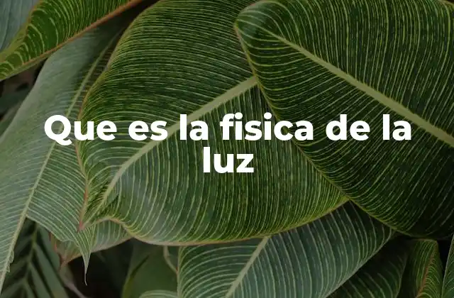 Que es la Fisica de la Luz