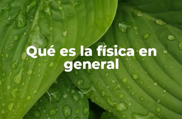 Qué es la Física en General