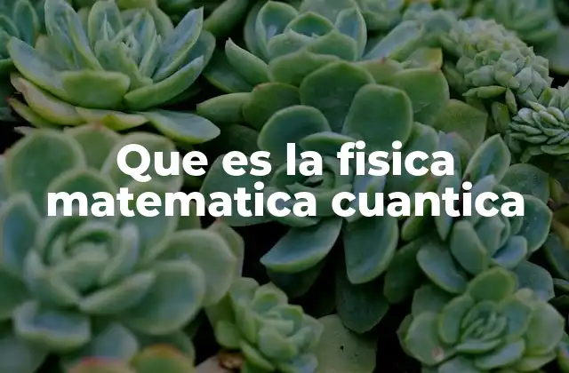 Que es la Fisica Matematica Cuantica