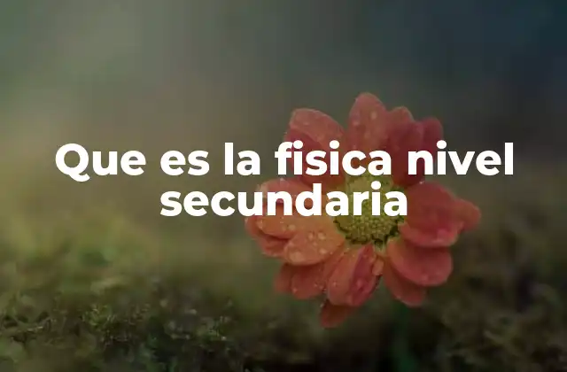 Que es la Fisica Nivel Secundaria