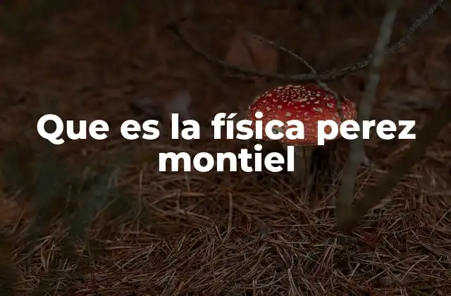 Que es la Física Perez Montiel
