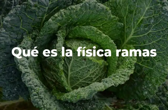Qué es la Física Ramas