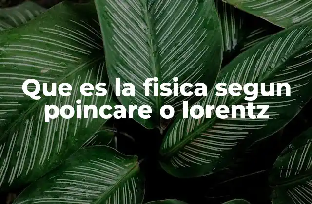 Que es la Fisica Segun Poincare o Lorentz