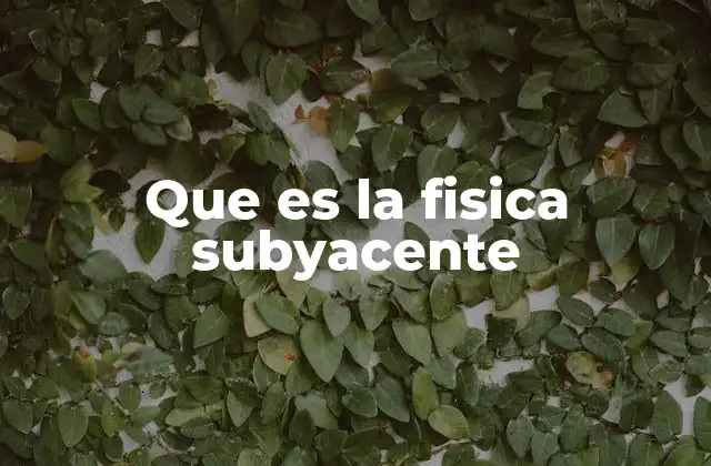 Que es la Fisica Subyacente