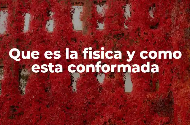 Que es la Fisica y como Esta Conformada