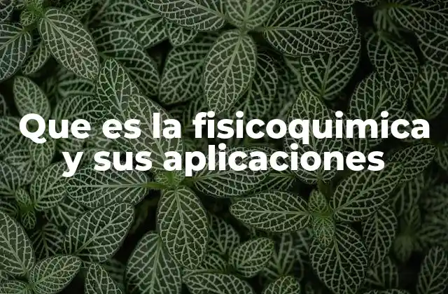 Que es la Fisicoquimica y Sus Aplicaciones