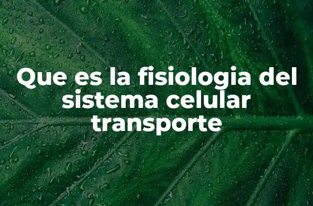 El papel de la membrana plasmática en el transporte celular