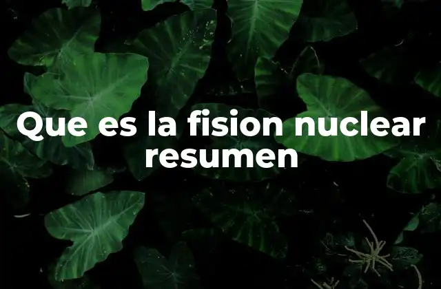 Que es la Fision Nuclear Resumen