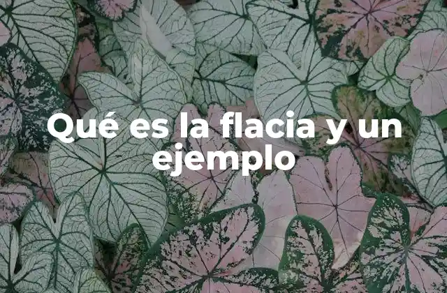 Qué es la Flacia y un Ejemplo