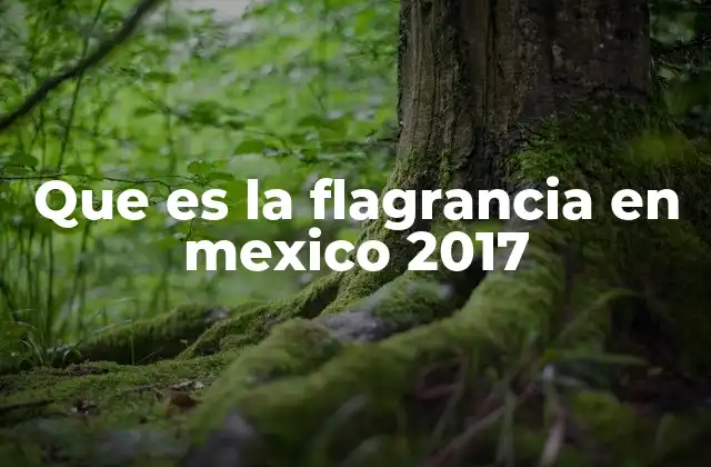 Que es la Flagrancia en Mexico 2017