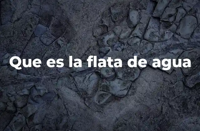 Que es la Flata de Agua