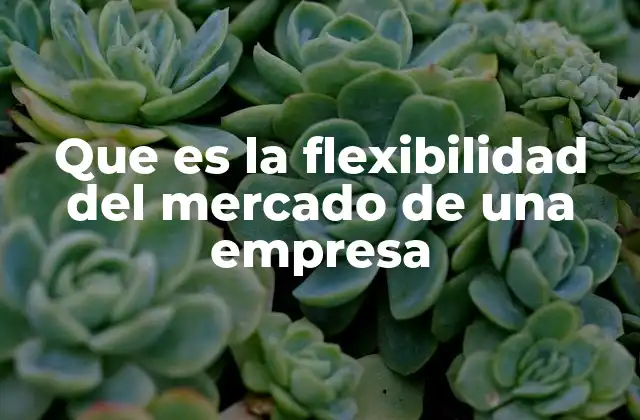Que es la Flexibilidad Del Mercado de una Empresa