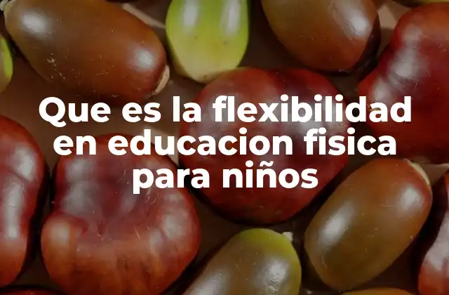 Que es la Flexibilidad en Educacion Fisica para Niños