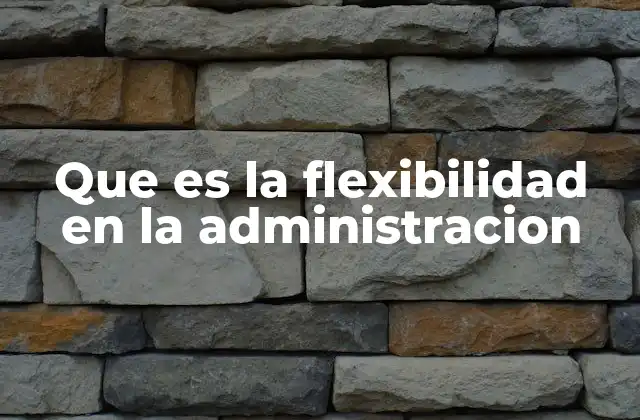Que es la Flexibilidad en la Administracion
