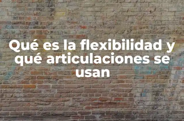 Qué es la Flexibilidad y Qué Articulaciones Se Usan