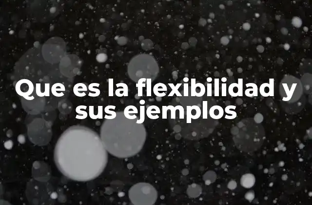 Que es la Flexibilidad y Sus Ejemplos